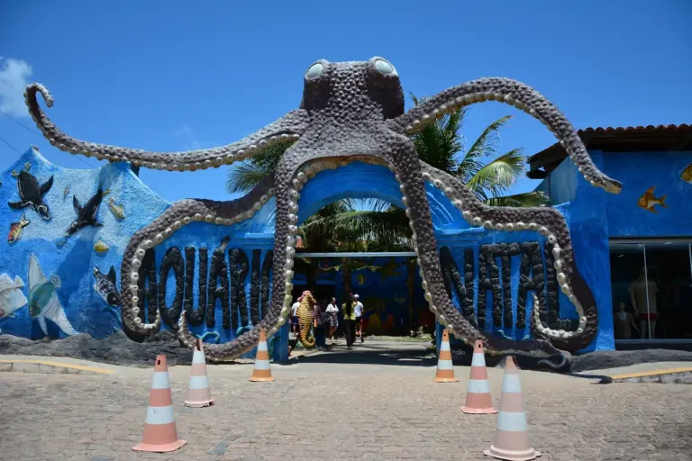 Aquário Natal: como planejar a visita em Extremoz