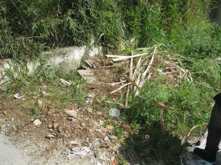 Entulho, poda e móveis velhos em Extremoz: como descobrir o descarte adequado